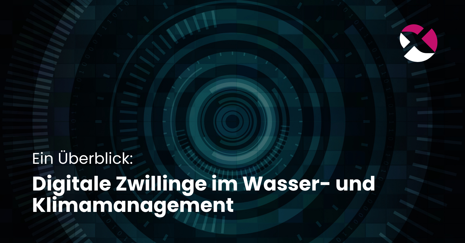 Digitale Zwillinge-1